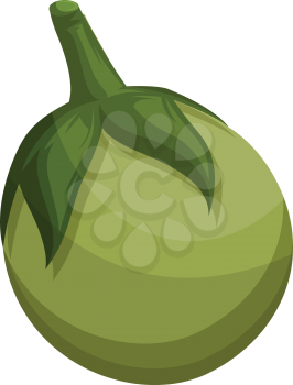 Green eggplant vector illustration of vegetables on white background.