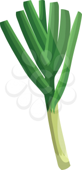 Light green leeks with dark green leafs vector illustration of vegetables on white background.