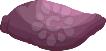 Purple maori potato vector illustration of vegetables on white background.