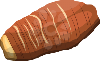 Brown taro root vector illustration of vegetables on white background.