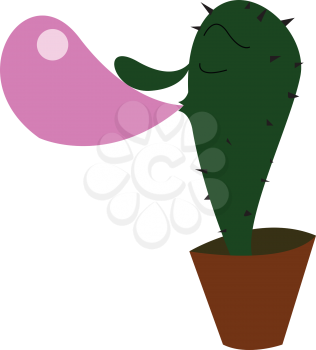 Cactus is blowing a big bubble gum bubble vector color drawing or illustration 