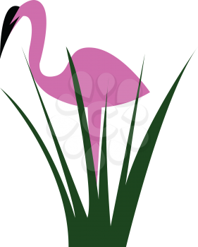 A beautiful pink flamingo is standing behind the bush vector color drawing or illustration 