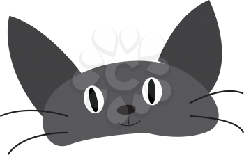 Face of a grey baby cat with black long mustache vector color drawing or illustration 