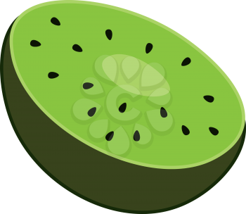 A half cut green super food called kiwi vector color drawing or illustration 