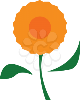 A beautiful orange flower with two leafs and stem vector color drawing or illustration 