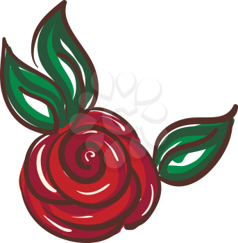 Drawing of a rose flower with three green leaves vector color drawing or illustration 