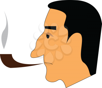 Face of a elegant old man with a cigar pipe on mouth vector color drawing or illustration 