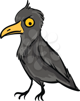 Angry crow looking down illustration color vector on white background