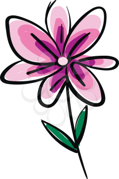 Drawing of pink flower illustration color vector on white background