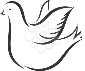 Simple sketch of a white dove vector illustration on white background 