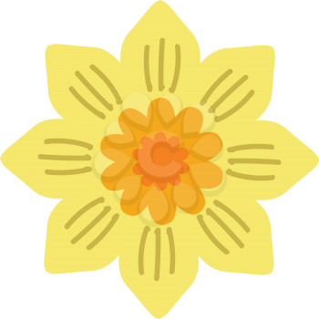 Yellow flower vector illustration on white background 