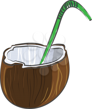 Coconut cut in half with a green straw vector illustration on white background 