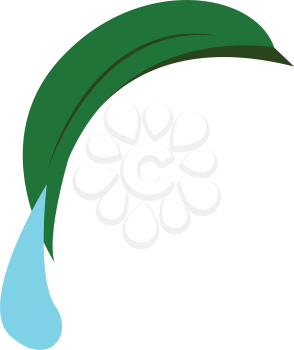 A dew drop falling from a leaf vector color drawing or illustration