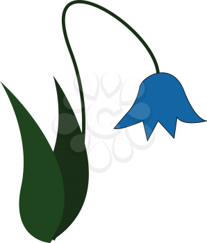 An image of a flower plant having a blue flower vector color drawing or illustration