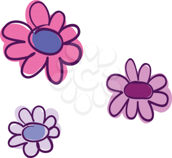 An image of pink and white sunflowers vector color drawing or illustration