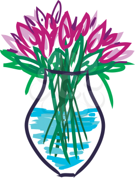 Pink tulips potted in a flower vase which is filled with water vector color drawing or illustration