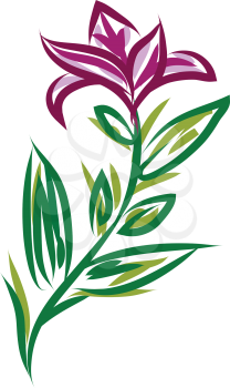 A pink flower along with its peduncle and green leaves around it vector color drawing or illustration 