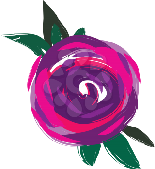 A circle shaped pink and purple colored flower with green leaves around it vector color drawing or illustration