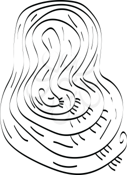A series of curls growing bigger after every round vector color drawing or illustration