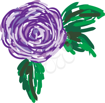 A drawing of a purple rose with green leaves around it vector color drawing or illustration