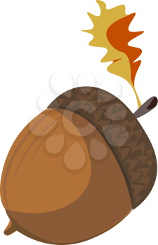 Cartoon brown acorn vector illustration on white background