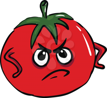 Angry tomato vector illustration on white background
