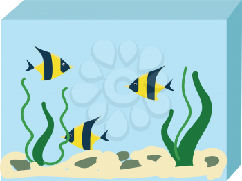 Aquarium with three fishes vector illustration on white background