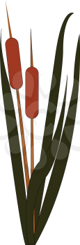 Simple cartoon bamboo vector illustration on white background