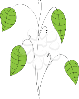 Cartoon big leafe plant vector illustration on white background