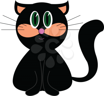 Little black cat vector illustration on white background