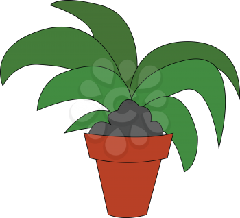 Home flower in a flowerpot illustration vector on white background
