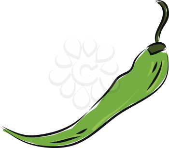 Hot green pepper illustration vector on white background