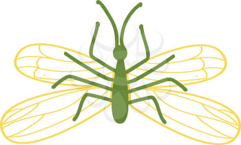 Green insect with wingsillustration vector on white background