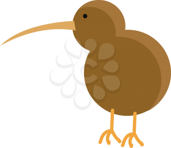 Brown kiwi birdillustration vector on white background
