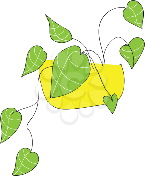 Green leafesillustration vector on white background