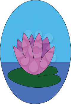 Pink water flowerillustration vector on white background