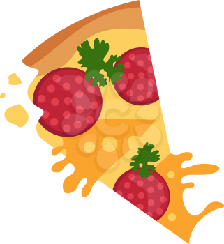 Salami pizza illustration vector on white background