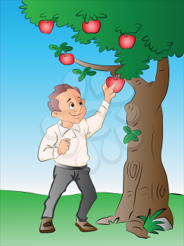 Man Picking Apples from a Tree, vector illustration