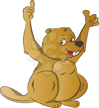 Beaver with Two Thumbs Up, vector illustration