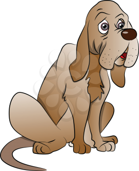 Vector illustration of cute boxer dog looking with curiosity.