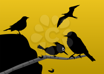 Birds silhouette, vector illustration