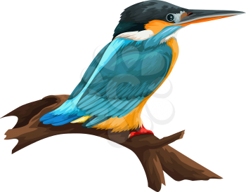 Vector illustration of bird perching on tree branch against white background.