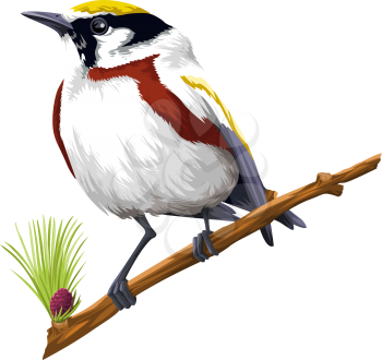 Vector illustration of bird perching on tree branch against white background.