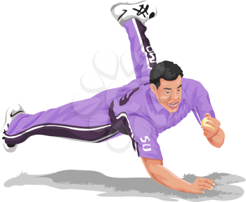 Vector illustration of cricket fielder diving and taking catch.
