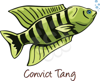 Convict Tang, Color Illustration