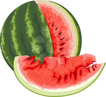 Vector illustration of fresh watermelon.