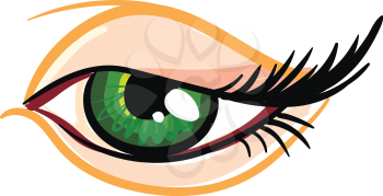 Beautiful green female eye 