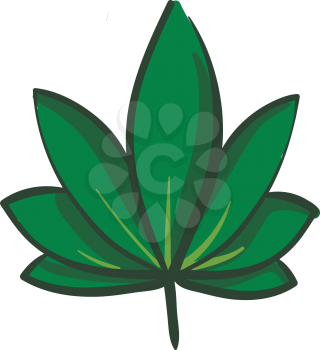 Big marijuana leaf illustration vector on white background 