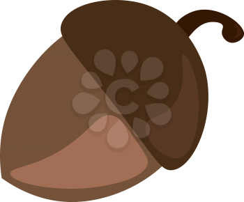 A brown acorn nut vector or color illustration