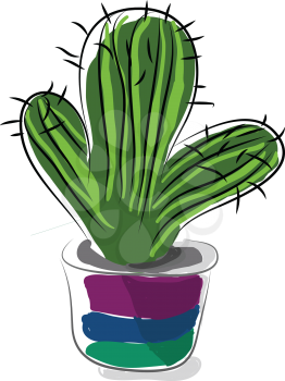 Cactus in bright pot vector or color illustration